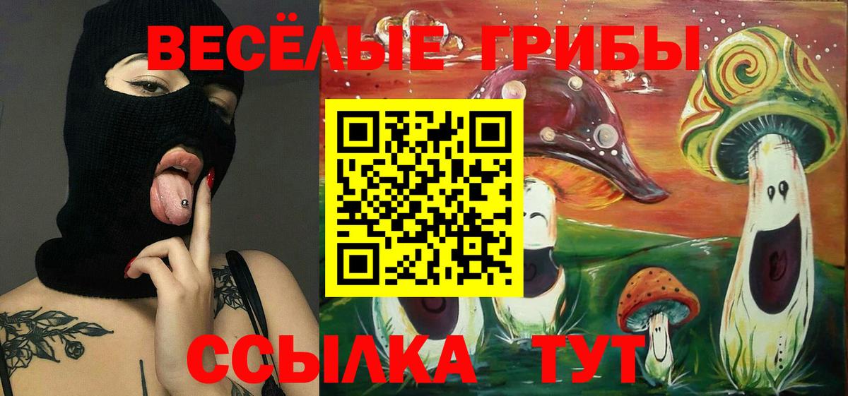 Галлюциногенные грибы Psilocybe Кохма